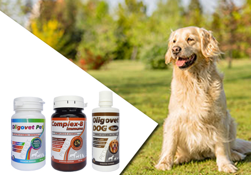 Oligovet suplementi za pse - Vitamini i minerali za pse